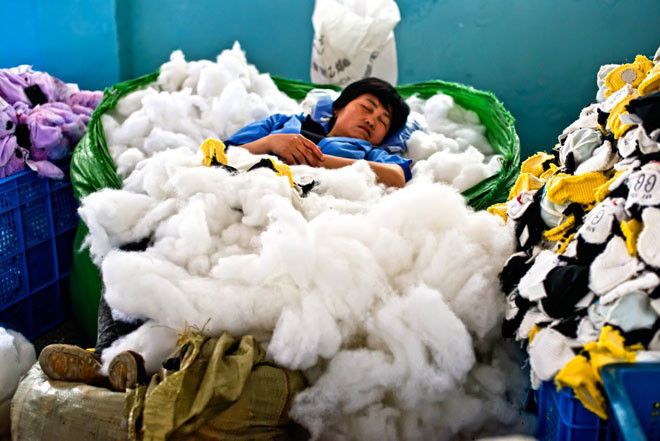 Экскурсия по самой большой китайской фабрике мягких игрушек