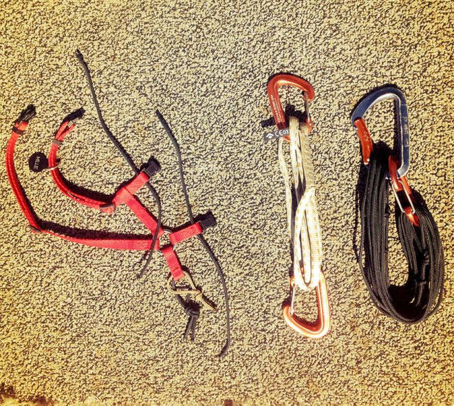 Кошкаальпинистка