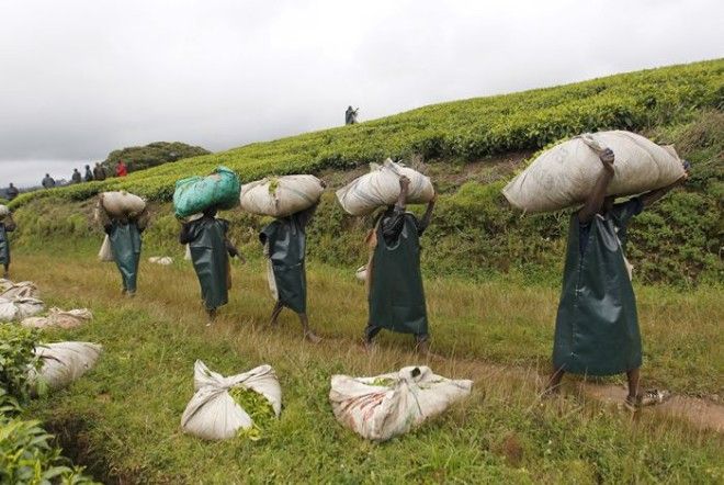 Бурунди самая несчастливая страна мира