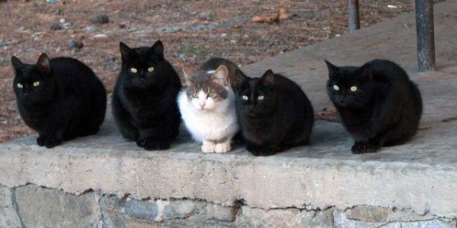 Ктото лишний