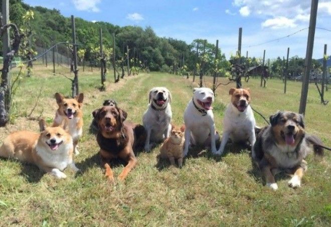 Ктото лишний