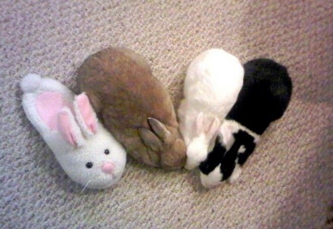 Ктото лишний