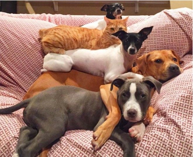 Ктото лишний