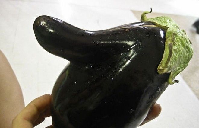 Странная забава Конкурс необычных овощей