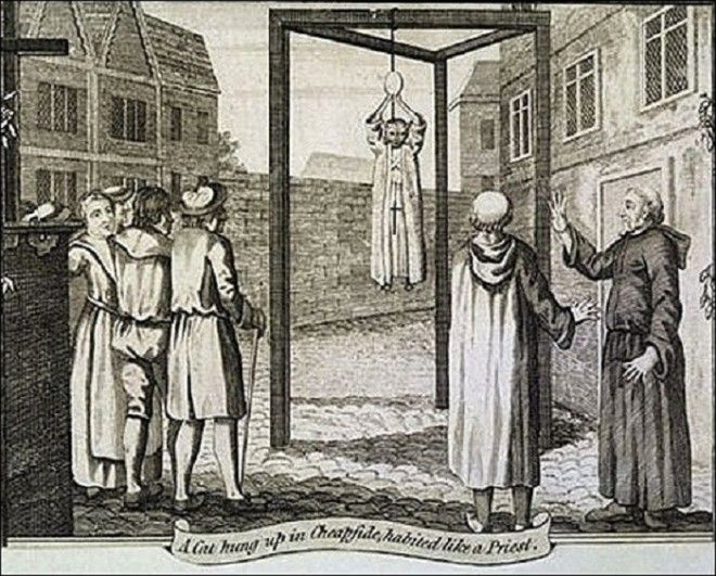 Повешение кошки в Средневековье Фото infomaniyacom