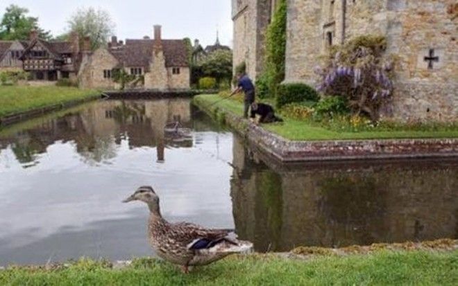 10 случаев когда пресса говорила правду невзирая на власть