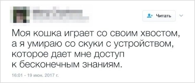 Самоирония замечательная вещь Главное не перестараться