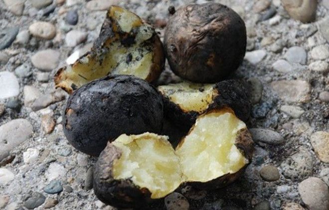 Рейтинг деликатесов советского ребенка