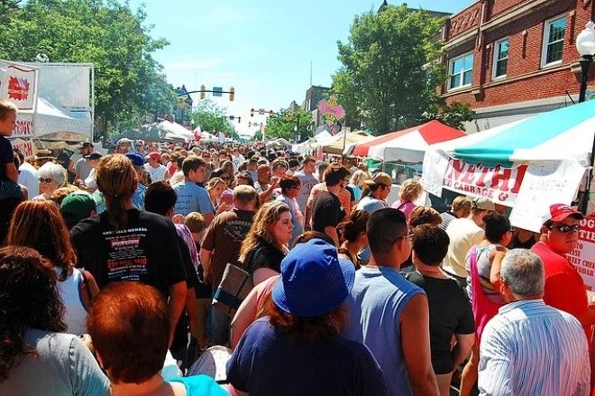 Досмотрев эти фото до конца вы узнаете какой фобией вы страдаете