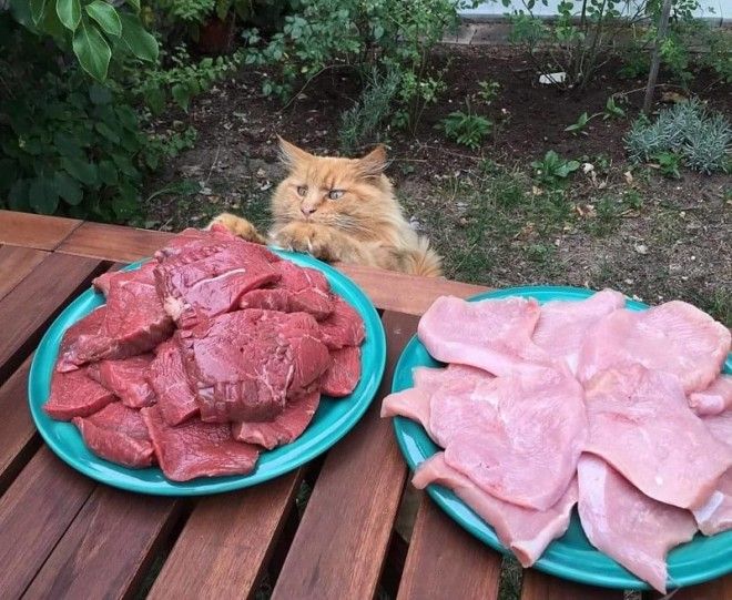 17 фото о том как выглядит истинное счастье