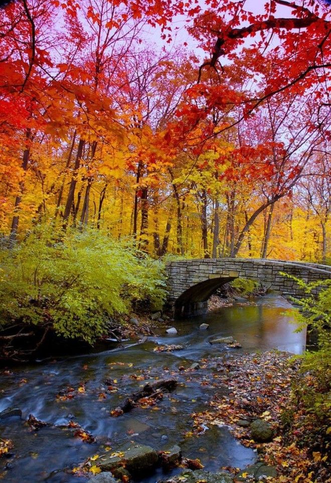 11 снимков на которых удалось запечатлеть всю палитру осени