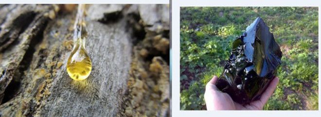 Рейтинг деликатесов советского ребенка