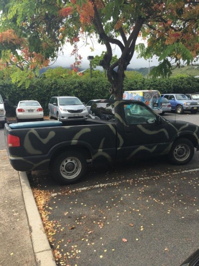 25 фотографий на которые стоит взглянуть во второй раз