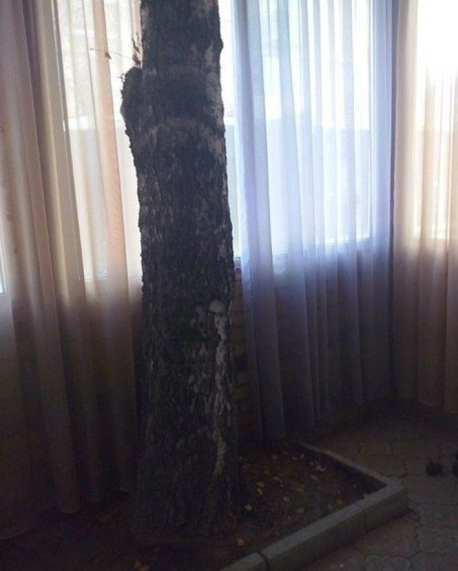 26 фото глядя на которые крутиться мысльНу как можно додуматься до такого