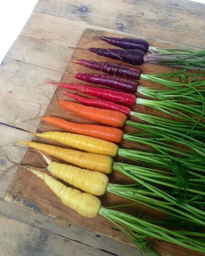 11 снимков на которых удалось запечатлеть всю палитру осени