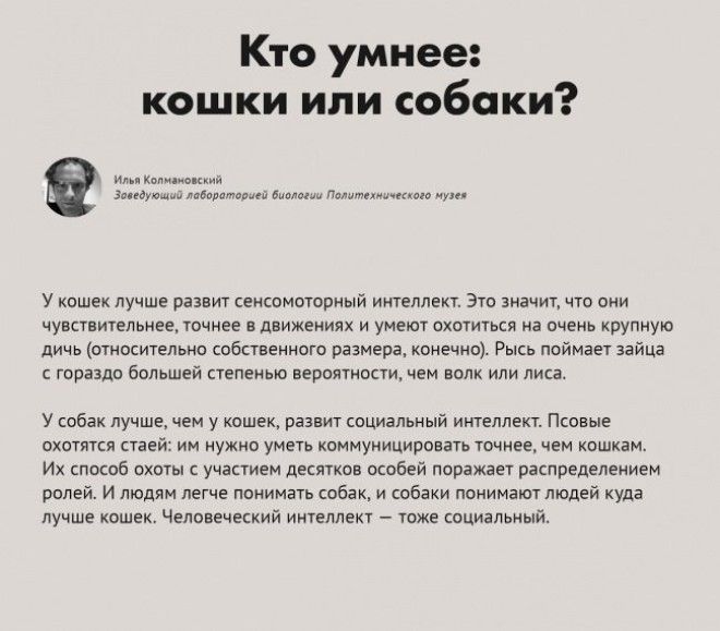 9 вопросов и ответов которые многое разъясняют