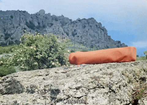 Немцу показали советский фильм Кавказская пленница и вот его комментарии