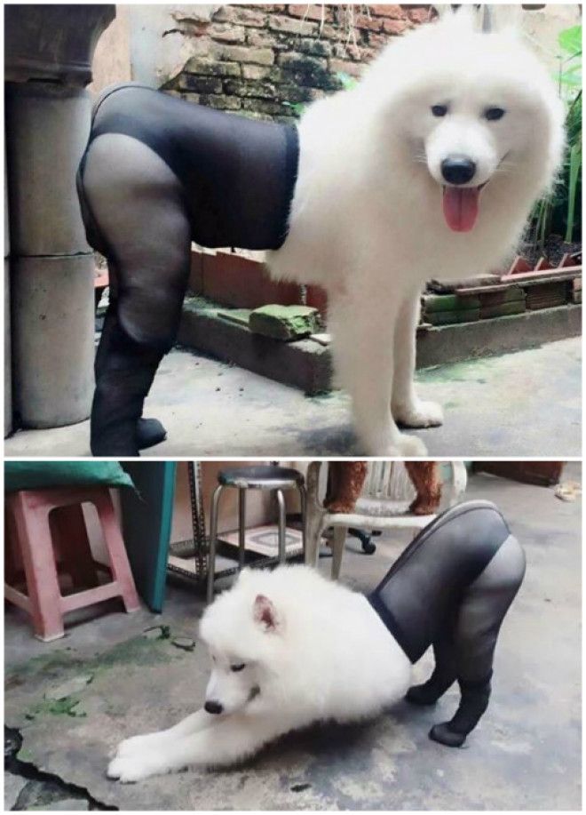 Колготки по фигуре