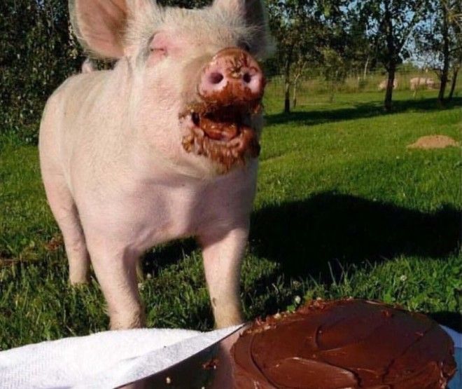 17 фото о том как выглядит истинное счастье