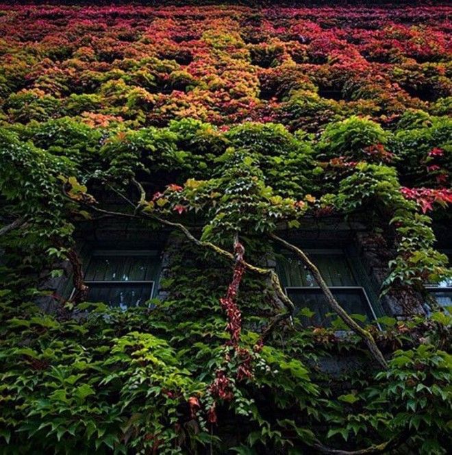 11 снимков на которых удалось запечатлеть всю палитру осени