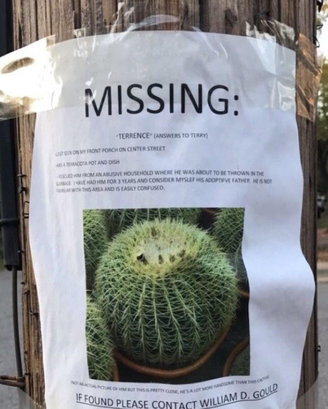 13 смешных объявлений о пропаже которые заставят вам улыбнутся