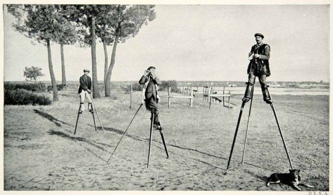 Удивительные факты про Пастухов на ходулях образ которых знаком каждому