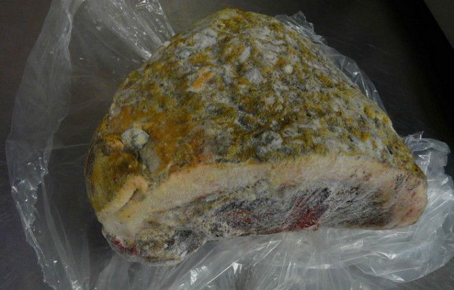 Копальхен опасный продукт который могут есть только коренные жители Севера Фото Flickr