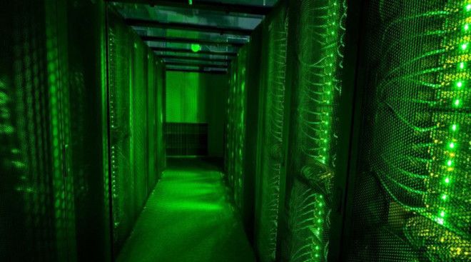 Самые странные и даже безумные криптовалюты мира