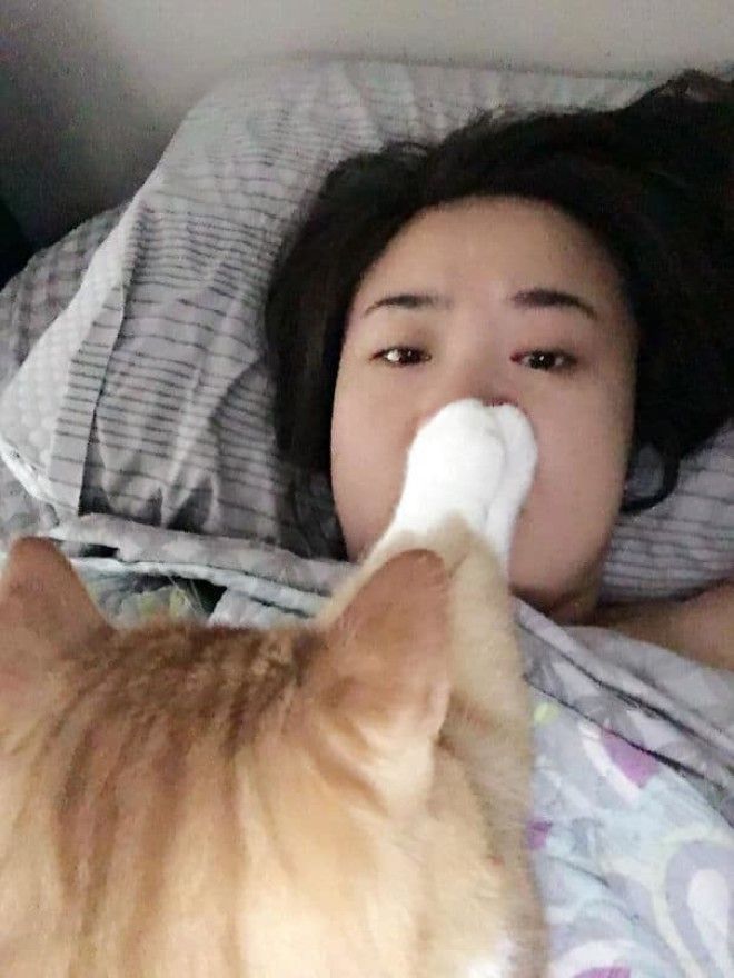 25 уморительных животных которые ведут себя как настоящие мерзавцы