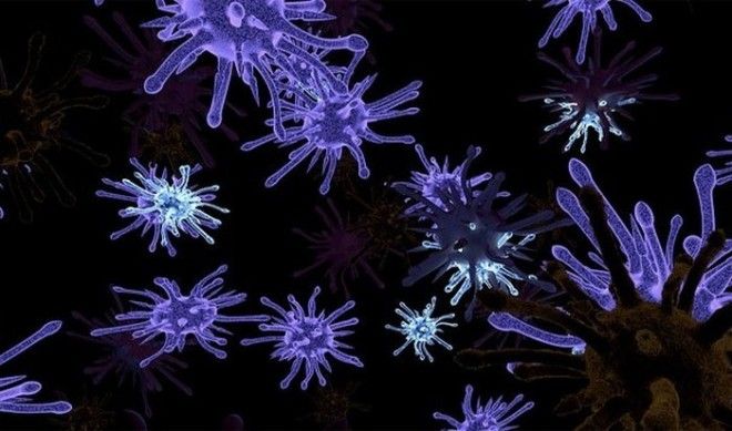 Ацтеки последняя великая индейская цивилизация