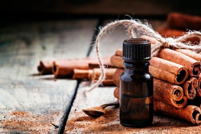 Корица поможет при простуде и гриппе. Корица поможет при простуде и гриппе