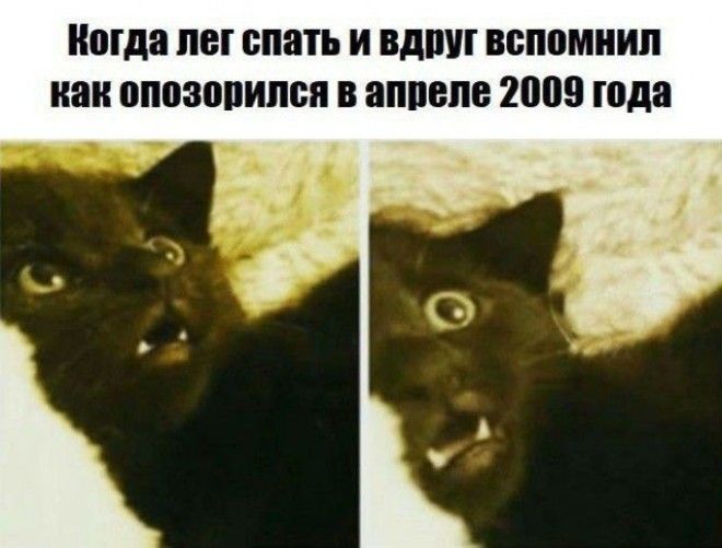 Шутки начинающиеся со слова когда