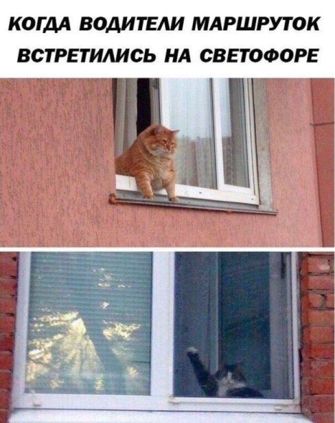Шутки начинающиеся со слова когда