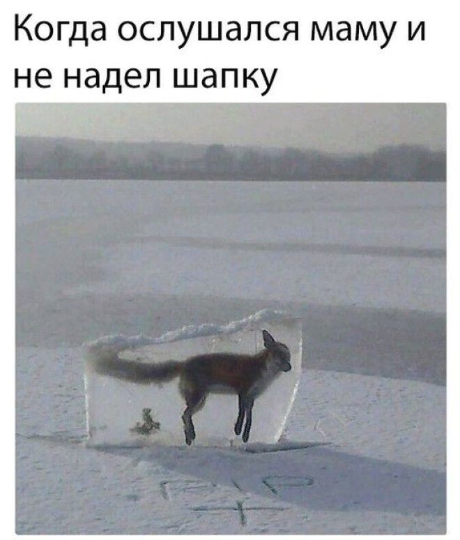Шутки начинающиеся со слова когда