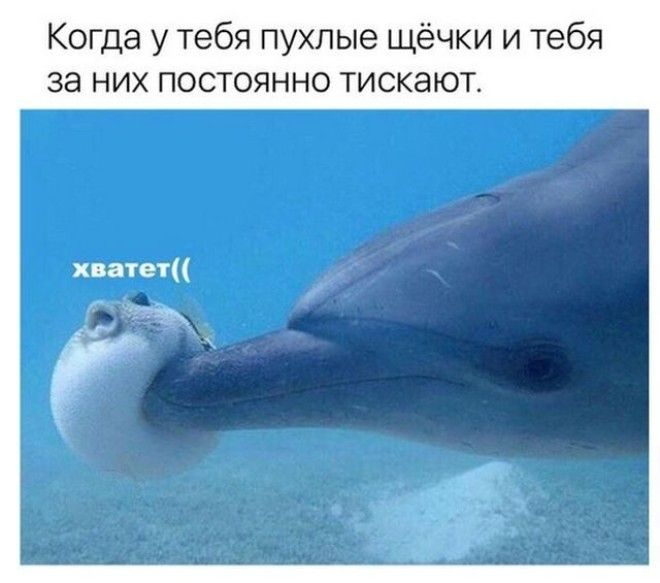 Шутки начинающиеся со слова когда