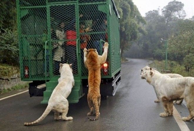Класс!