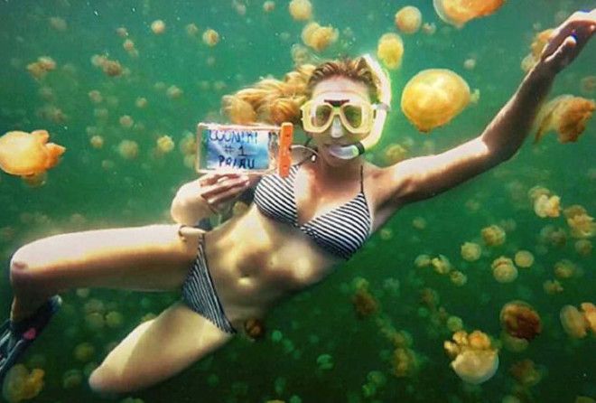 Везунчики :-)