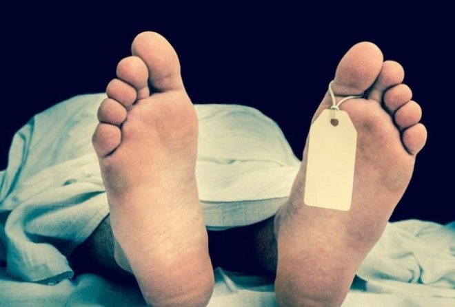 Ожившему - радость, а окружающим - масса впечатлений!