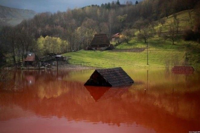 Жуткие последствия человеческой жадности