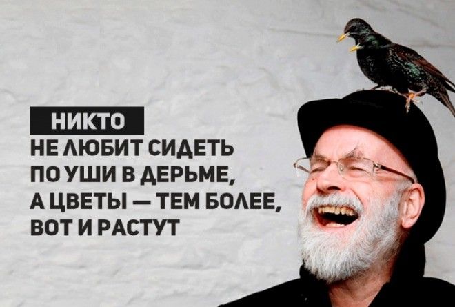 Шедеврально!