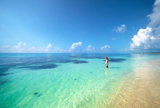 Для ценителей тишины