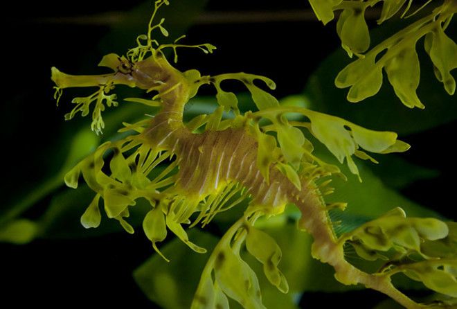 А вы их видите?