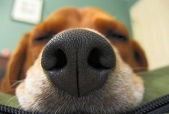 И нормально ли это