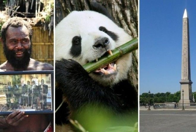 Это как же нужно было додуматься?!