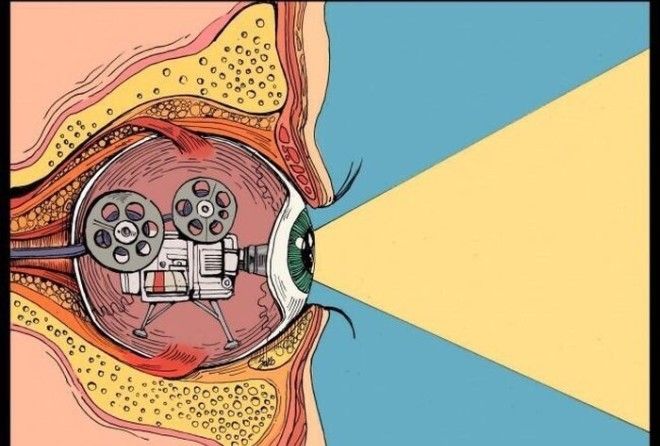 На злобу дня