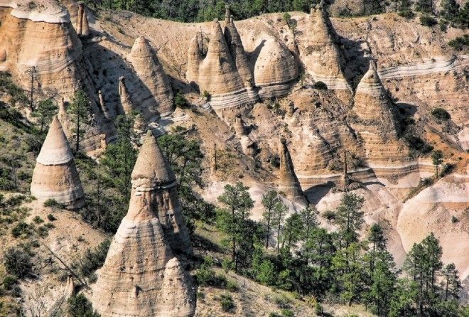 Выглядят как что-то неземное!