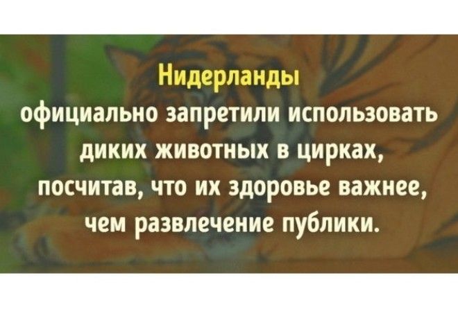Достойны восхищения!