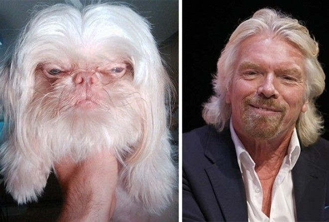 Как две капли воды :-)