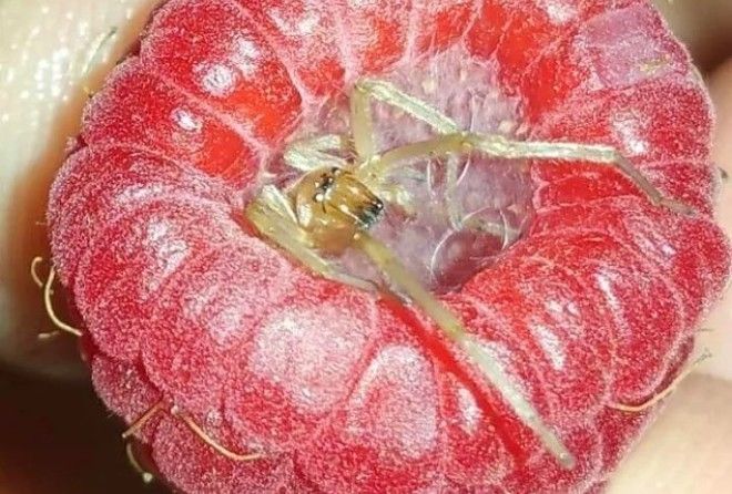 Аккуратно при просмотре ;-)