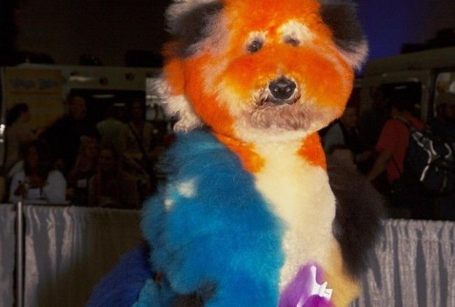 Хватит мучать бедных животных!